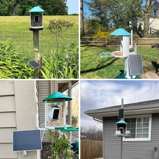 Birdfy Feeder with Solar Panel - Solar-Powered Smart Bird Feeder with Camera
