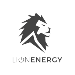Collection image for: Lion Energy
