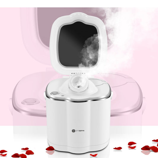 DL008 Hot Mist Nano Facial Steamer Spa Quality Home Face Humidifier for Women Men