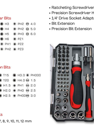 55 Piece Metric Tool Set with Ratcheting Bit Driver, Precision Bit Driver and Bit Assortment - DT5024