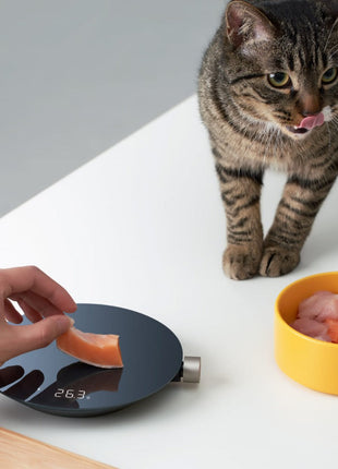 Smart Kitchen Scale