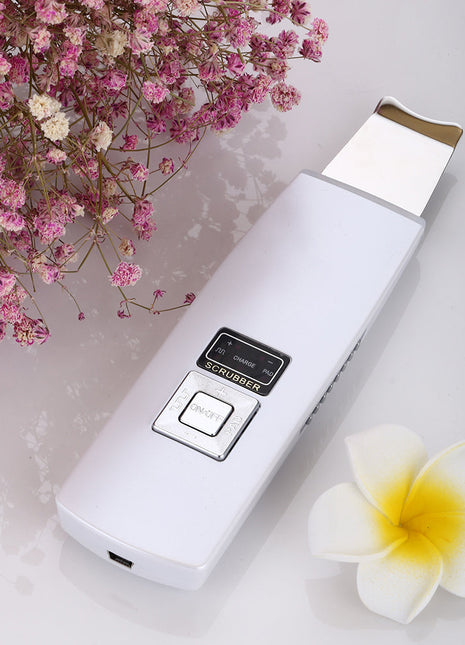 DL022  Ultrasonic Facial Massager