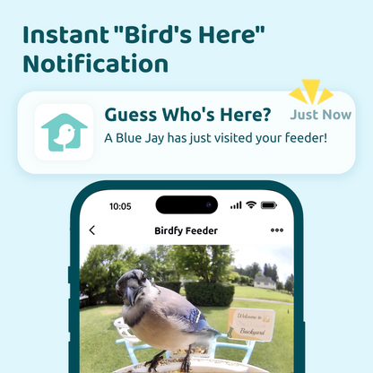 Birdfy Feeder - AI-Powered Smart Bird Feeder with Camera