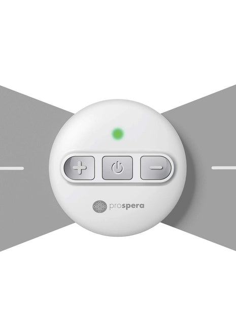 PL009B Penguin Electronic Pulse TENS EMS