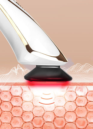 PL038 Prospera RF Radio Frequency 5 in 1 EMS Micro Current LED Light Facial Body Anti Aging Massage Device