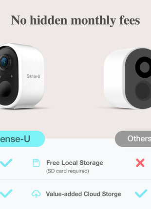 AI Battery Cam