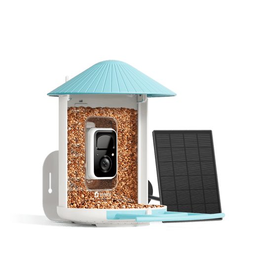 Birdfy Feeder with Solar Panel - Solar-Powered Smart Bird Feeder with Camera
