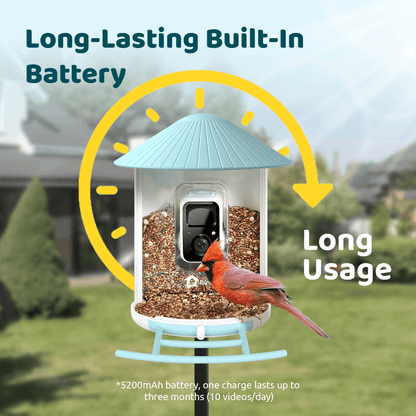 Birdfy Feeder - AI-Powered Smart Bird Feeder with Camera