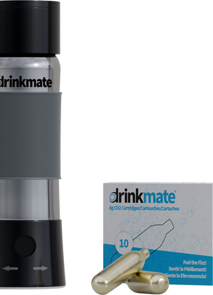 instaFizz Stainless Steel Water Bottle Bundle with 10 CO2 Cartridges (Plus Silicone Sleeve)