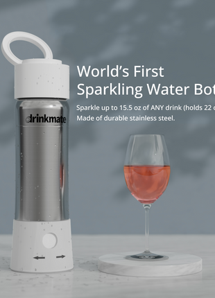 instaFizz Stainless Steel Water Bottle Bundle with 10 CO2 Cartridges (Plus Silicone Sleeve)