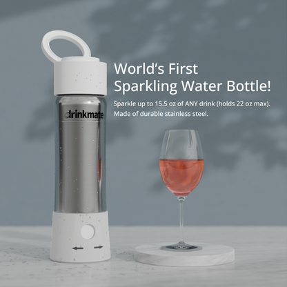 instaFizz Stainless Steel Water Bottle Bundle with 10 CO2 Cartridges (Plus Silicone Sleeve)